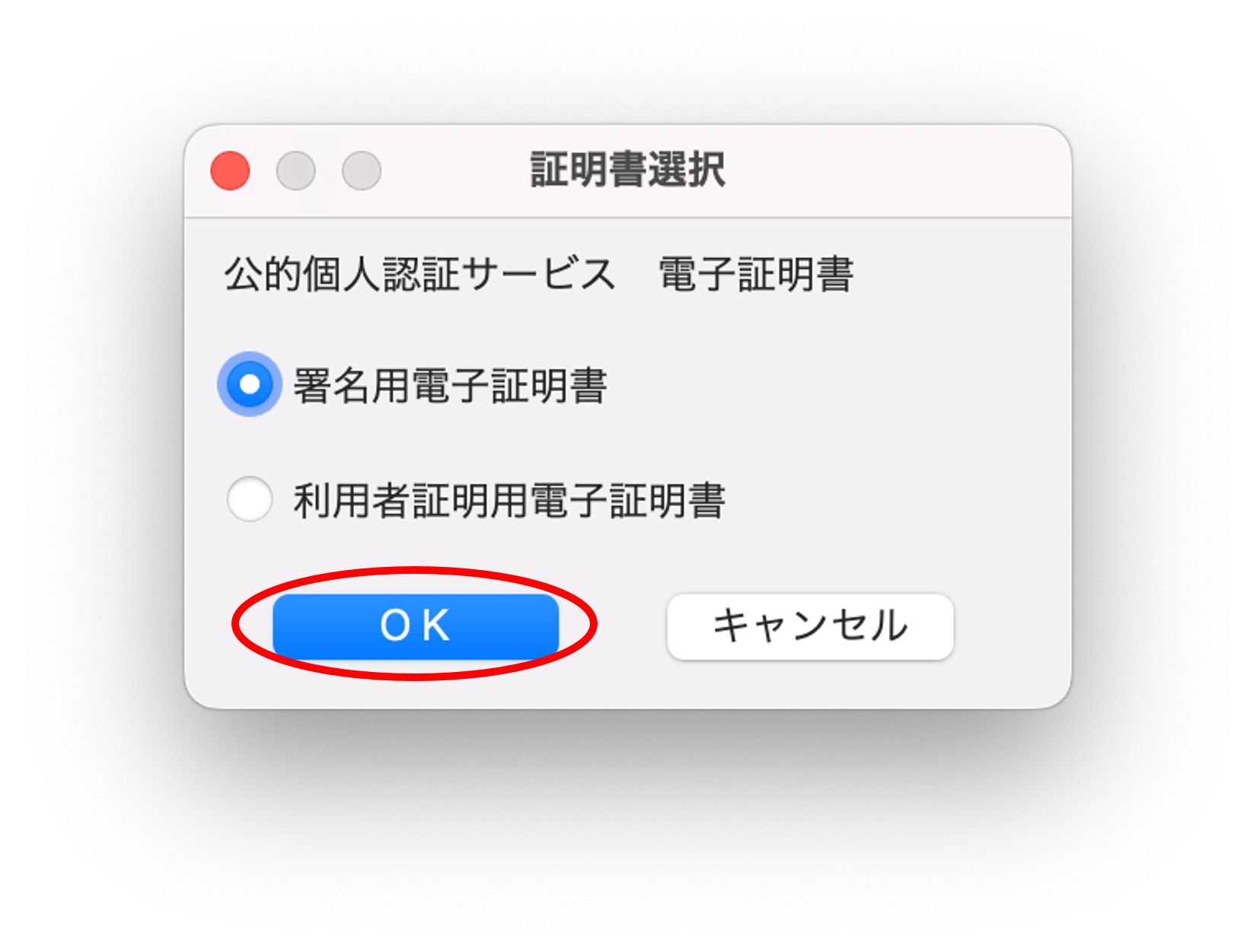 有効性の確認方法 | 公的個人認証サービス ポータルサイト