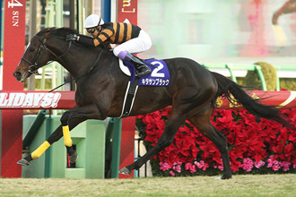 2017年 重賞レース JRA