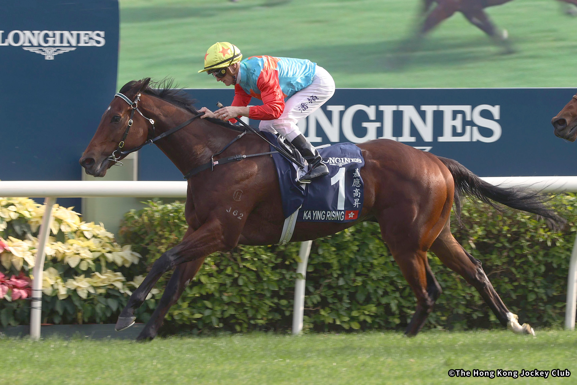 レース概要｜レース情報：2025年香港スプリント 海外競馬発売 JRA