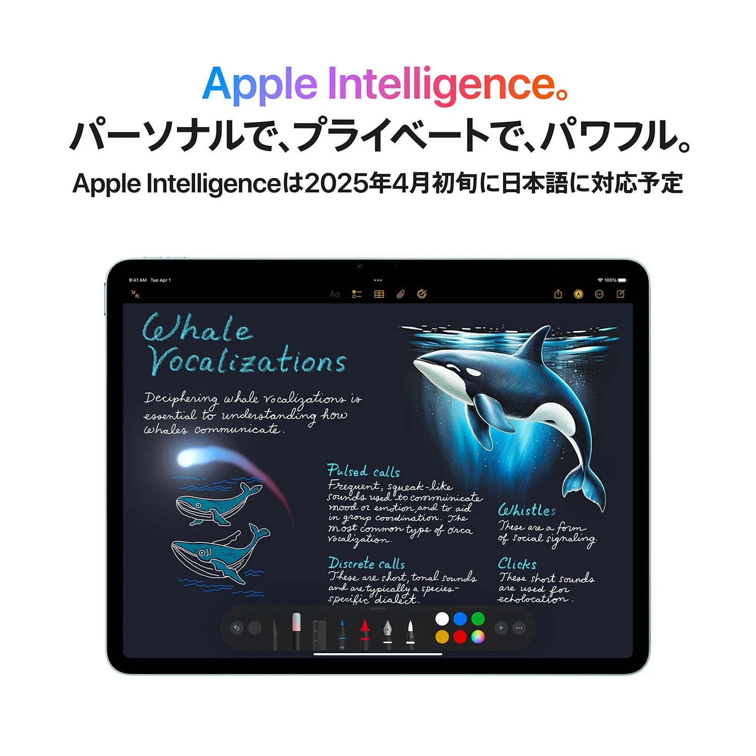 13インチiPad Air （M3）｜NTTドコモビジネスオンラインショップ｜NTT