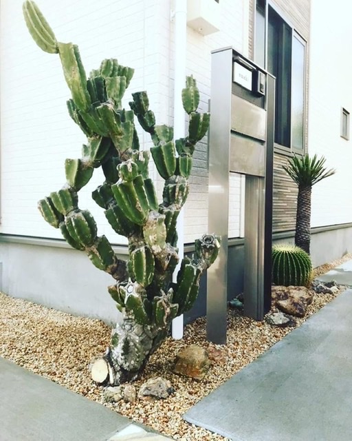 鬼面角ブランチ IN TOKYO−SETAGAYA | DESERT INC.