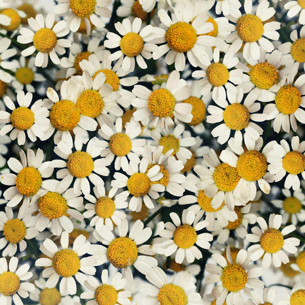 ディスコグラフィー | NakamuraEmi公式サイト