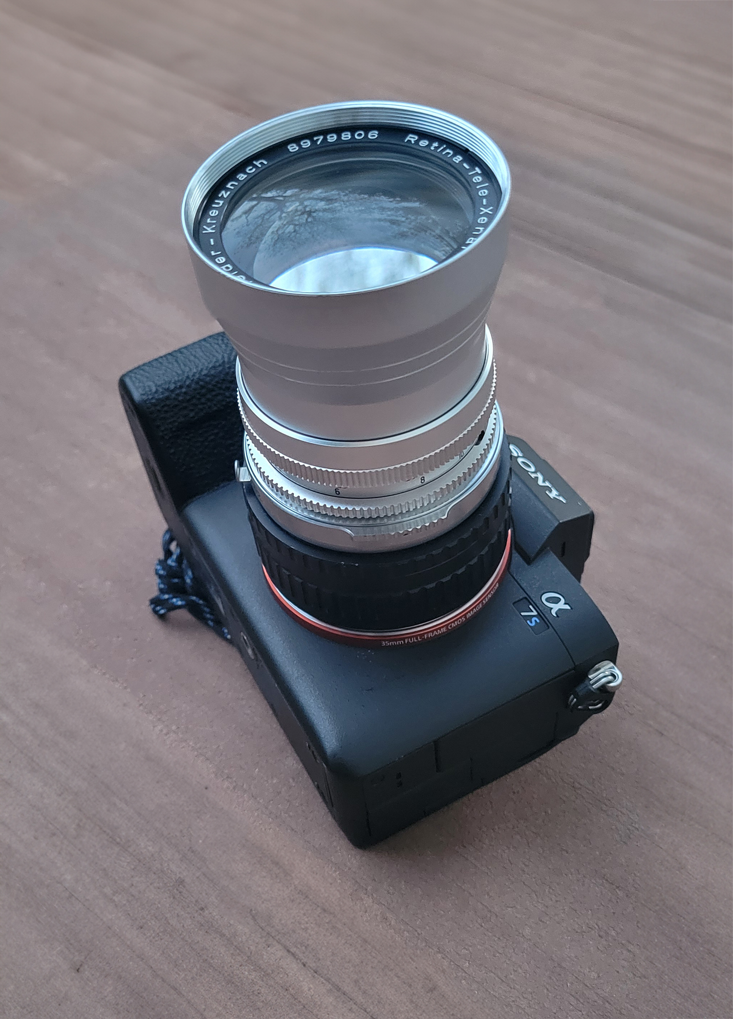 Schneider-Kreuznach Retina-Tele-Xenar 135mm F4 – 犬と手頃な