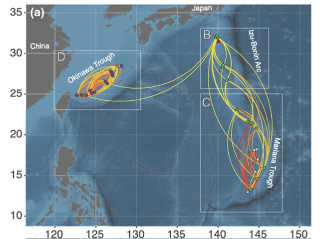 あなたの知らない深海の世界】レアアース採掘で熱帯噴出孔の重要性を