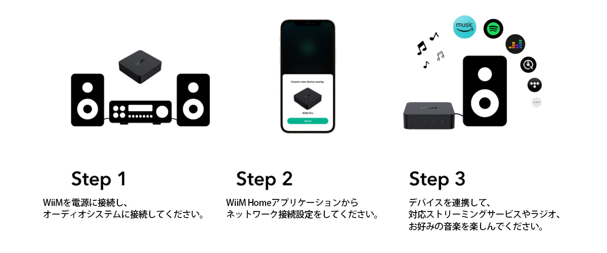 WiiM - WiiM Pro plus