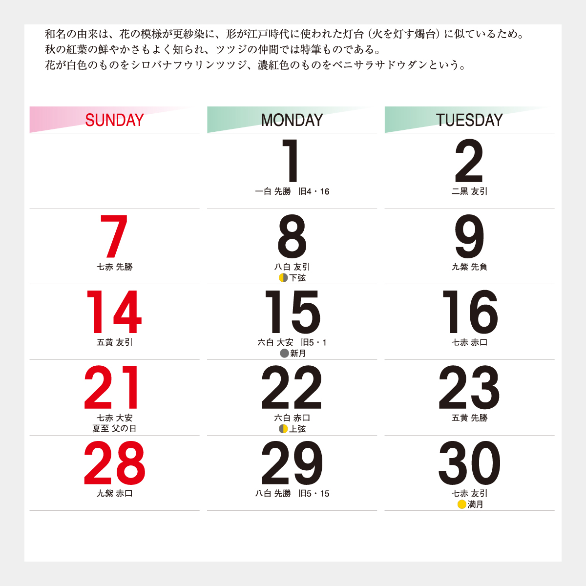 TD-818 日本の山野草2026年版の名入れカレンダーを格安で販売 - 名入れ