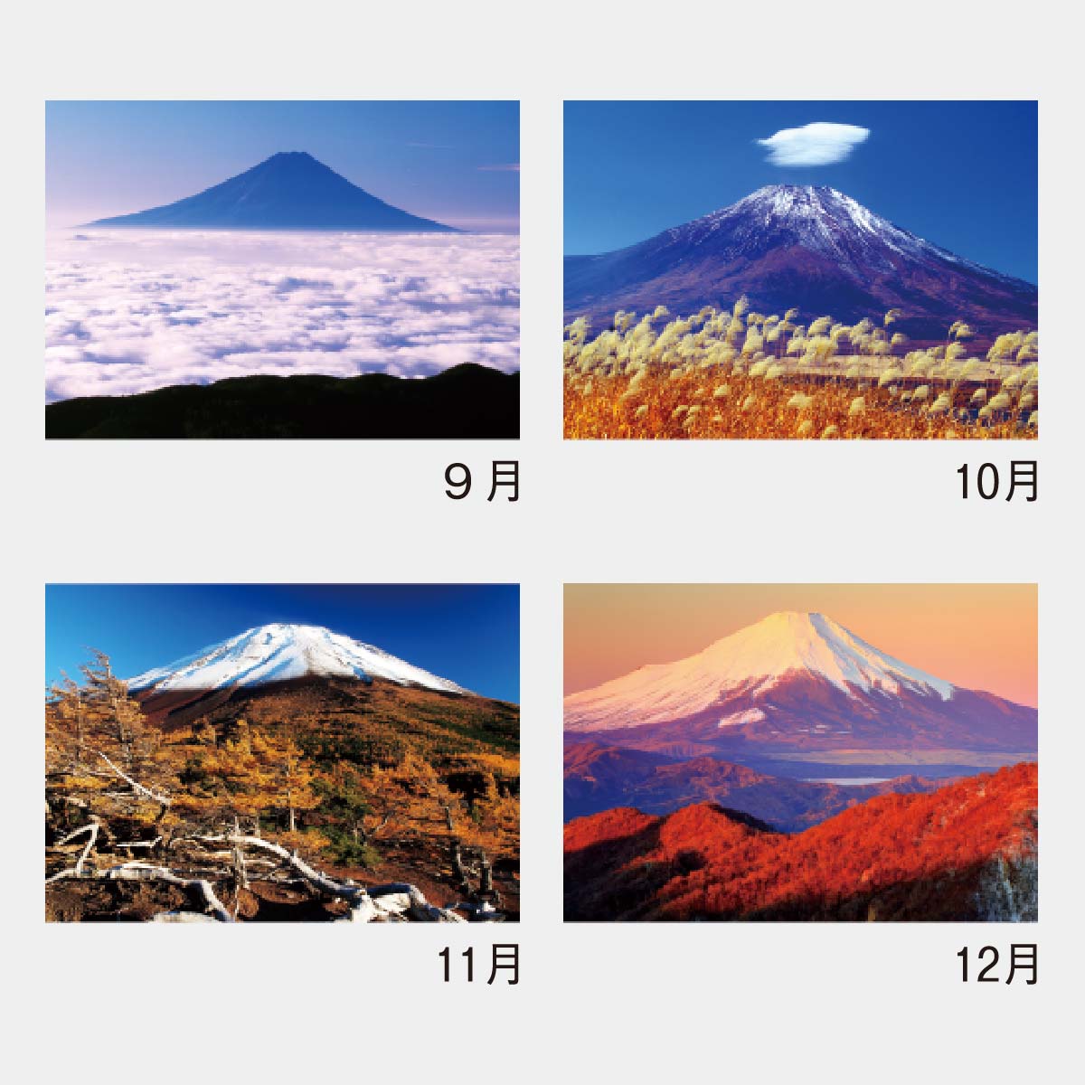 YG-27 世界文化遺産 富士十二景2026年版の名入れカレンダーを格安で