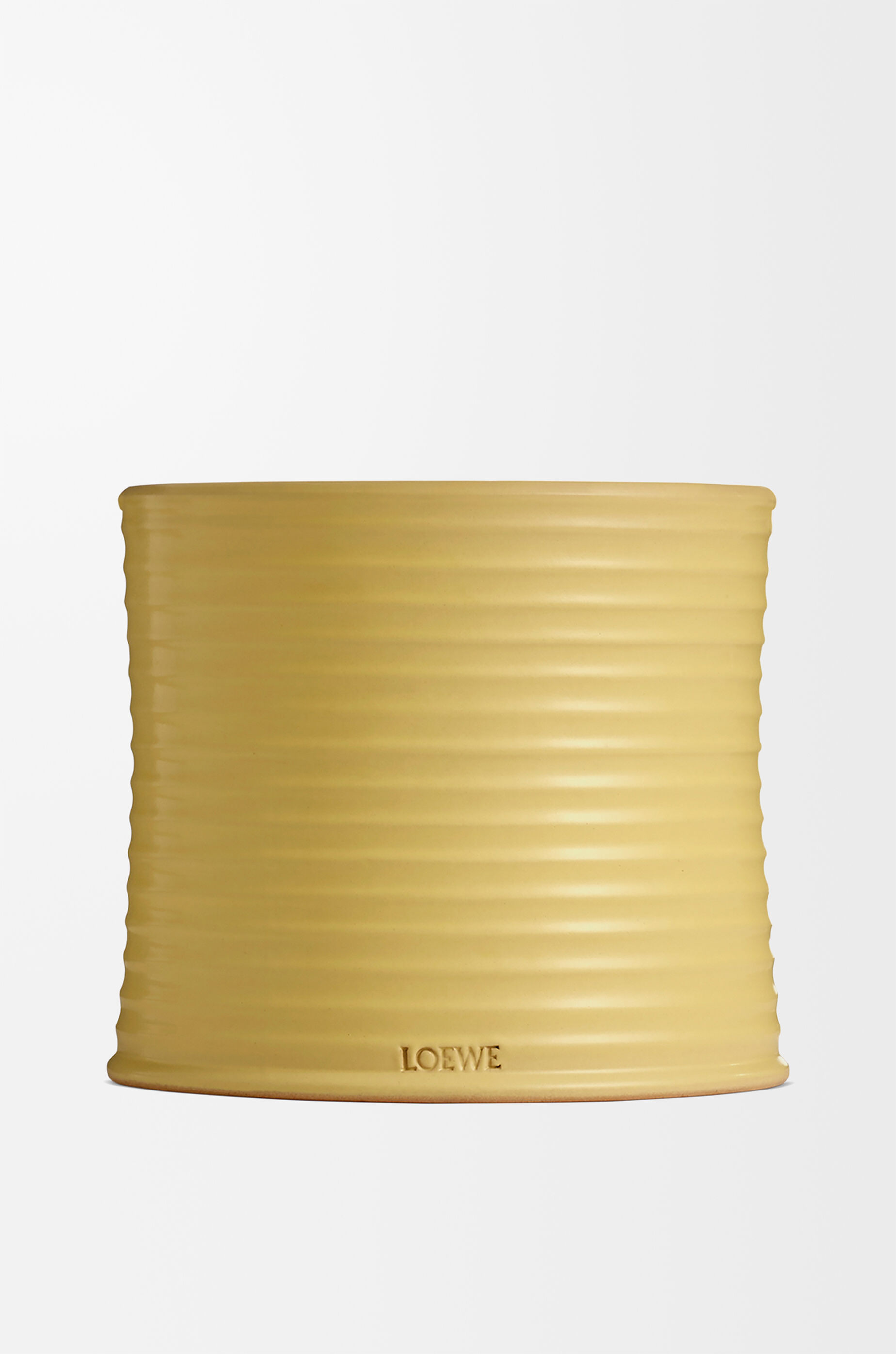 ハニーサックル キャンドル ラージ イエロー - LOEWE Japan official