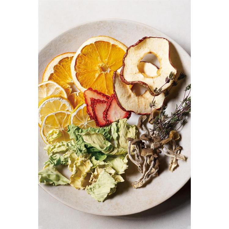 ドライフード&ヨーグルトメーカー クリームホワイト レコルト: ホーム