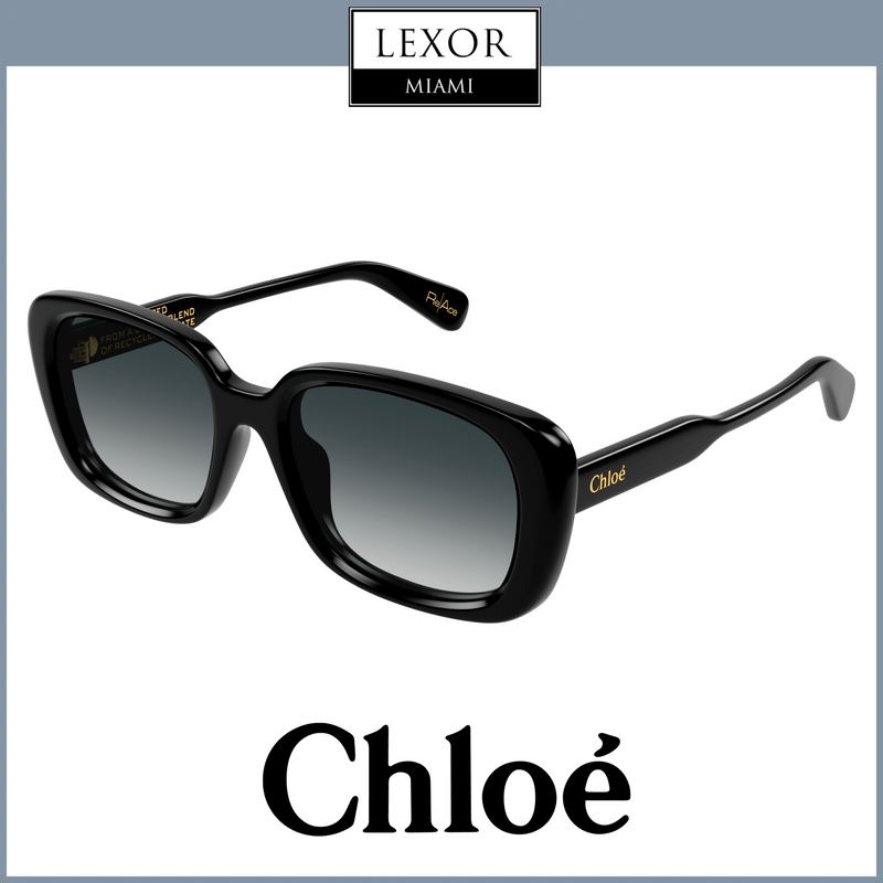 Chloe Sunglasses CH0225SK-001 55 WOMAN upc 889652481173 – Lexor Miami