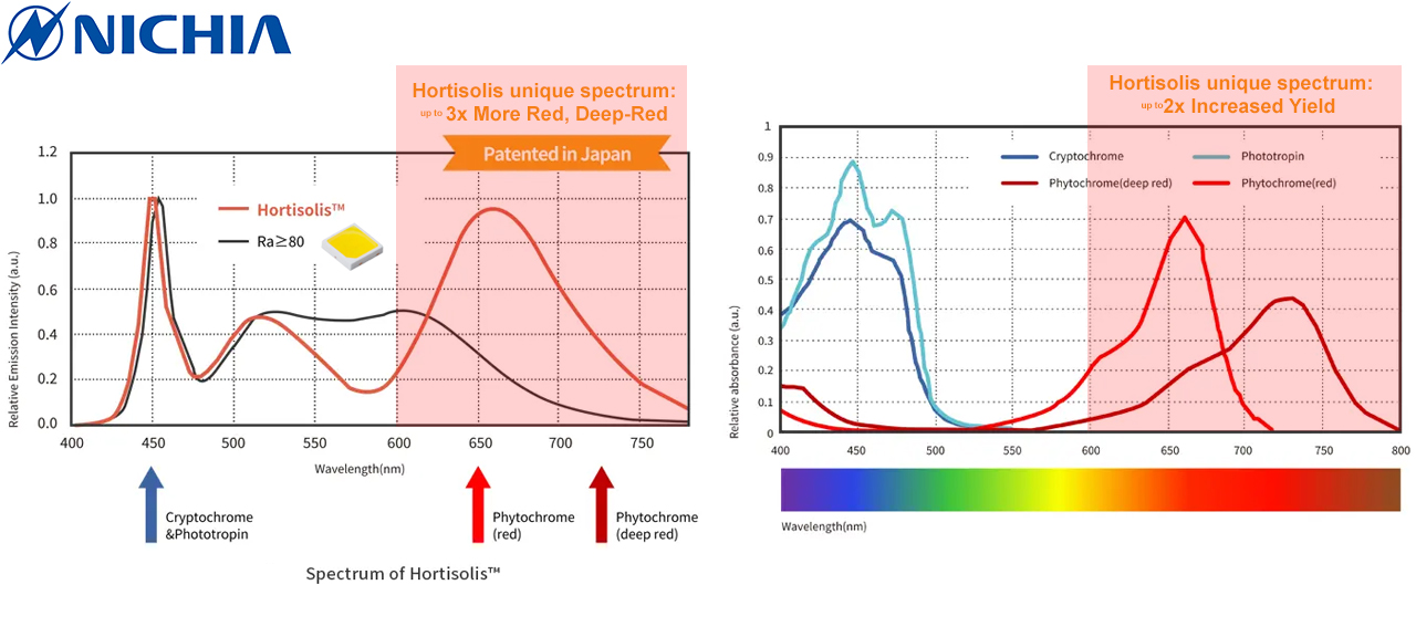 Ledrise - High Performance Led Lighting Nichia Hortisolis White