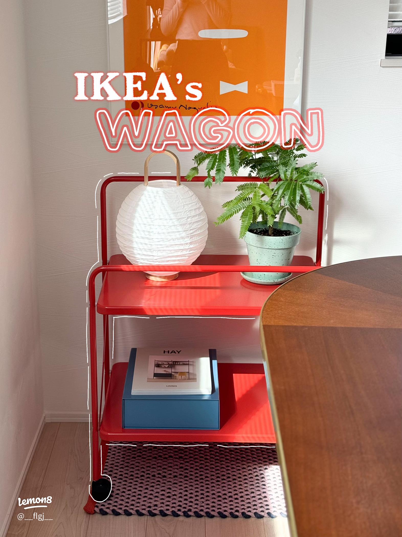 IKEAのイェルローサで育てる観葉植物の魅力🌿