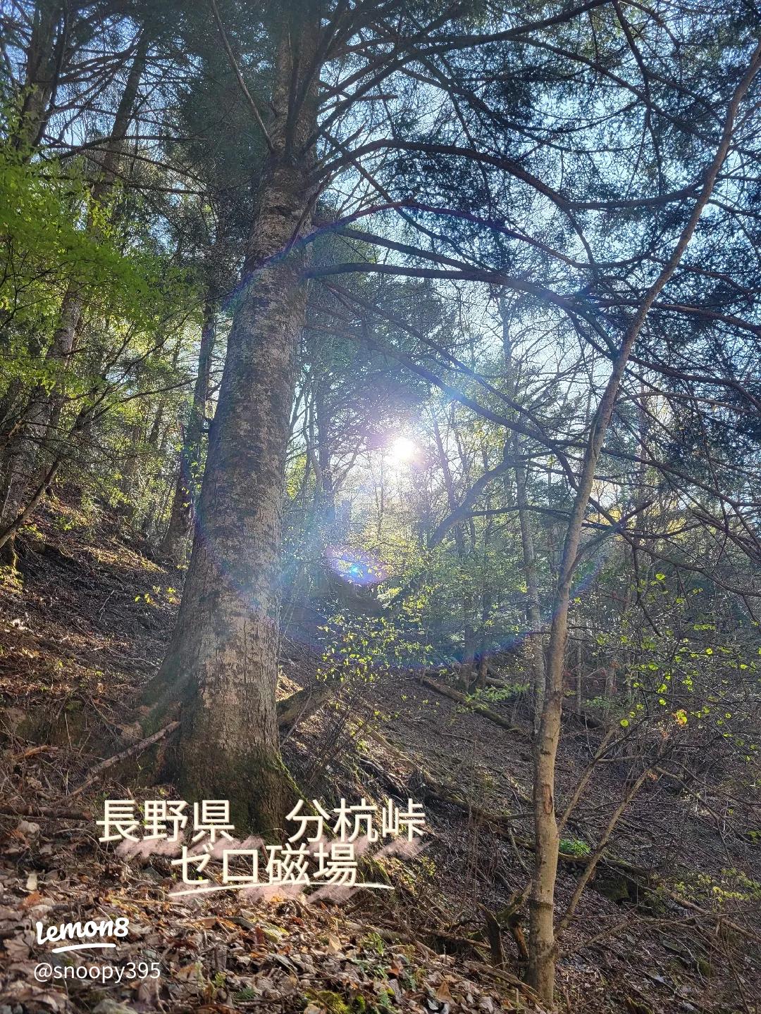 ゼロ磁場分杭峠の波動砂 2キロ drivedrive-spot-course_bungui-