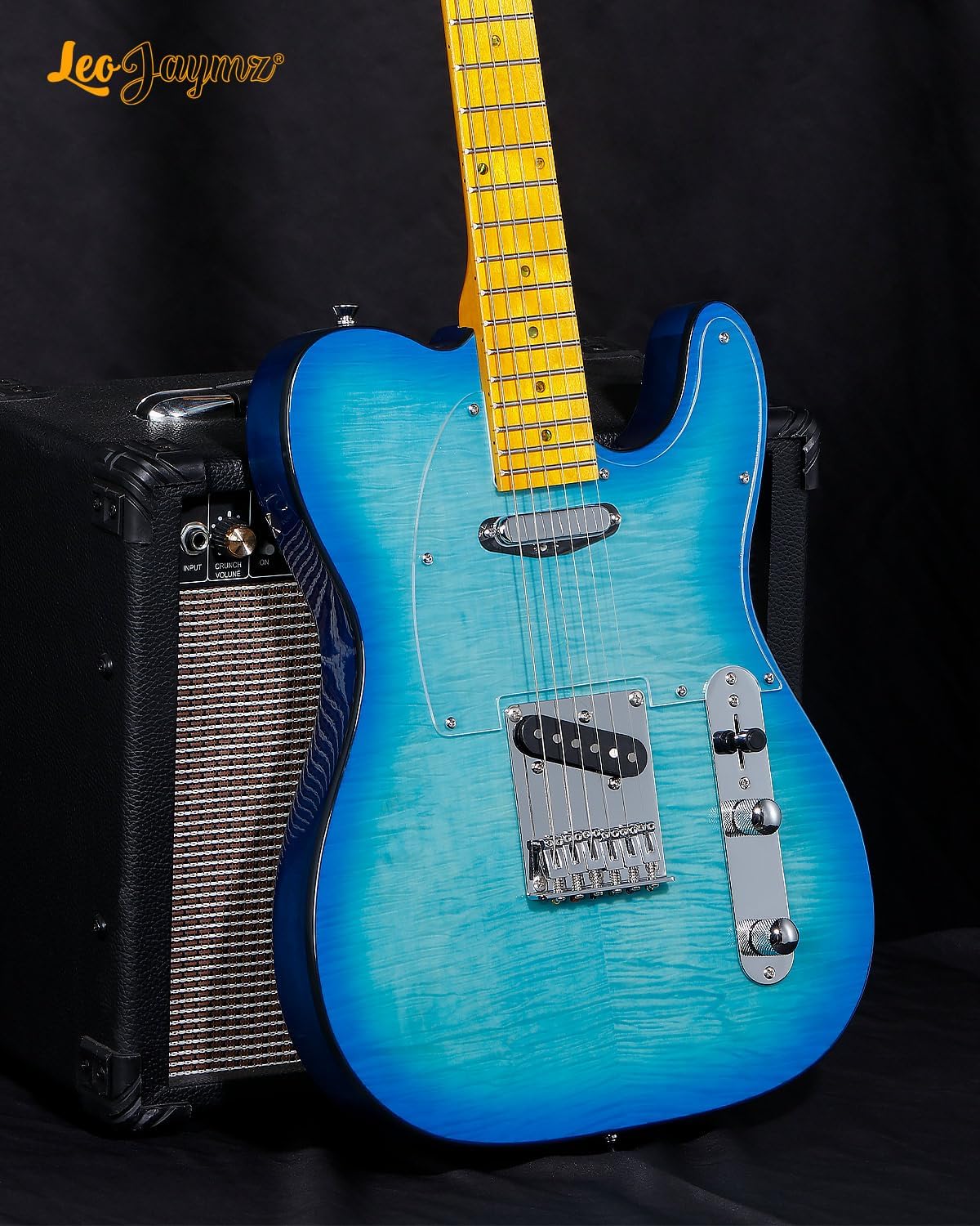 Top Electric Guitar of the Year:Leo Jaymz