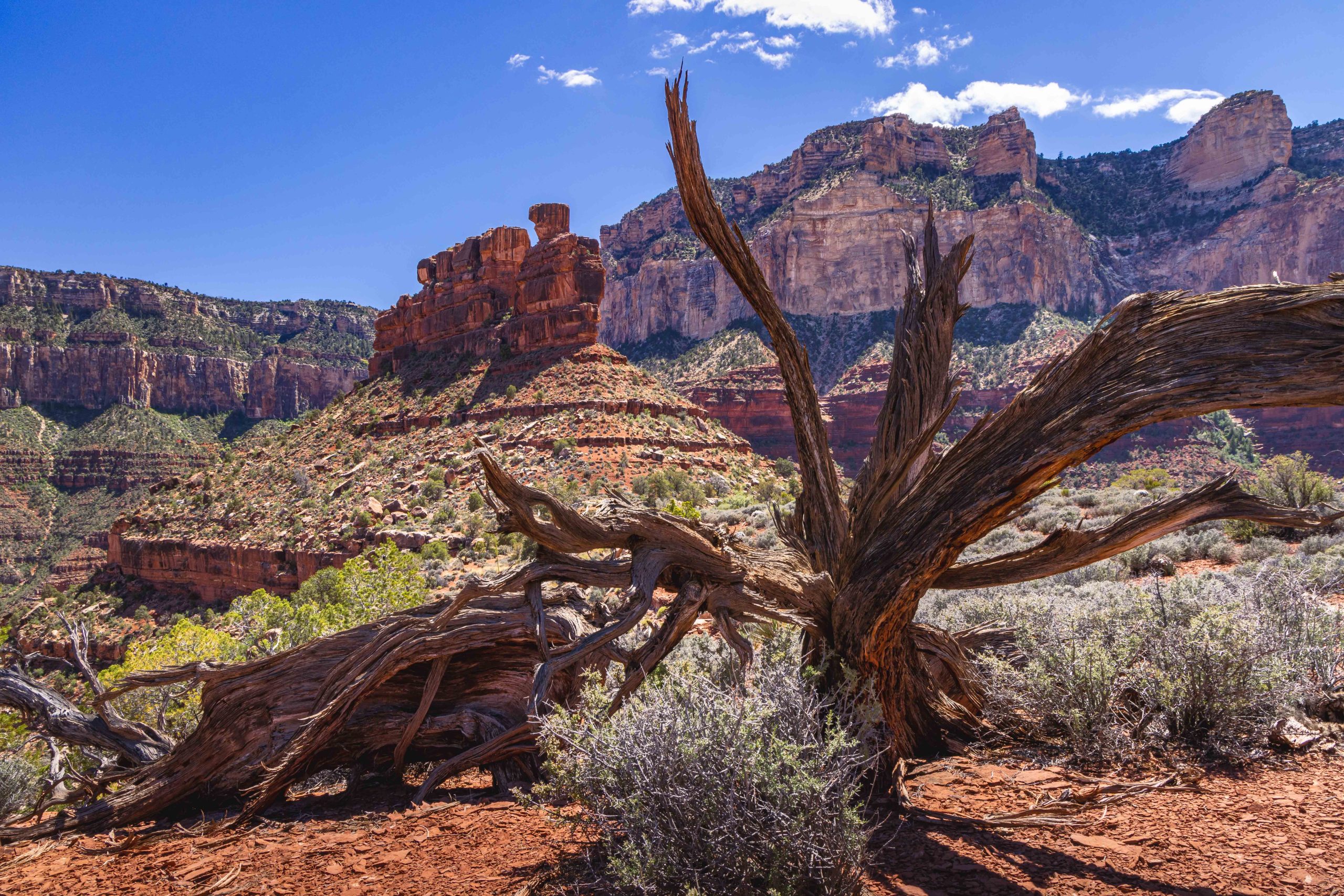 Grand Canyon to the Battleship summit from Bright Angel Trail