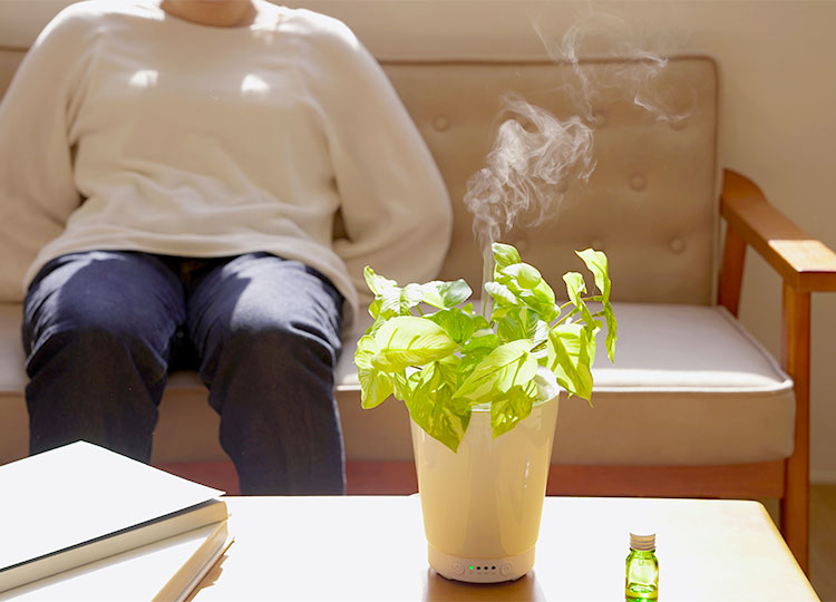 LITHON-GREEN AROMA MIST