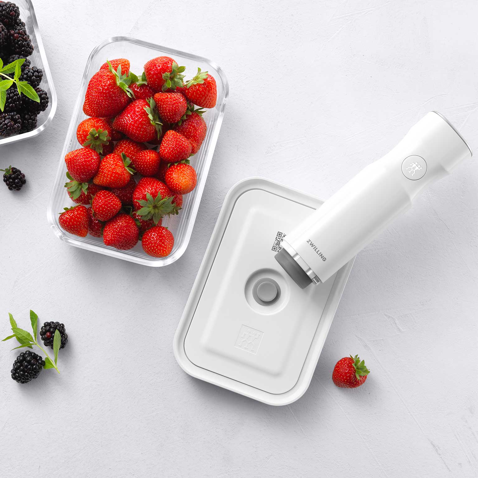 ZWILLING（ツヴィリング）FRESH & SAVE 真空保存シリーズ | LIVING