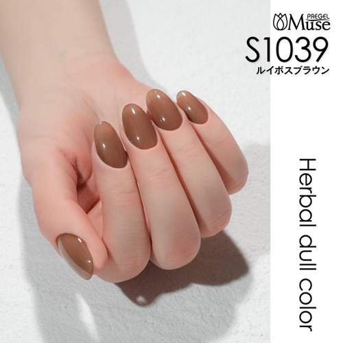 PREGEL Muse | カラージェル ルイボスブラウン 3g PGU-S1039 | ライフ