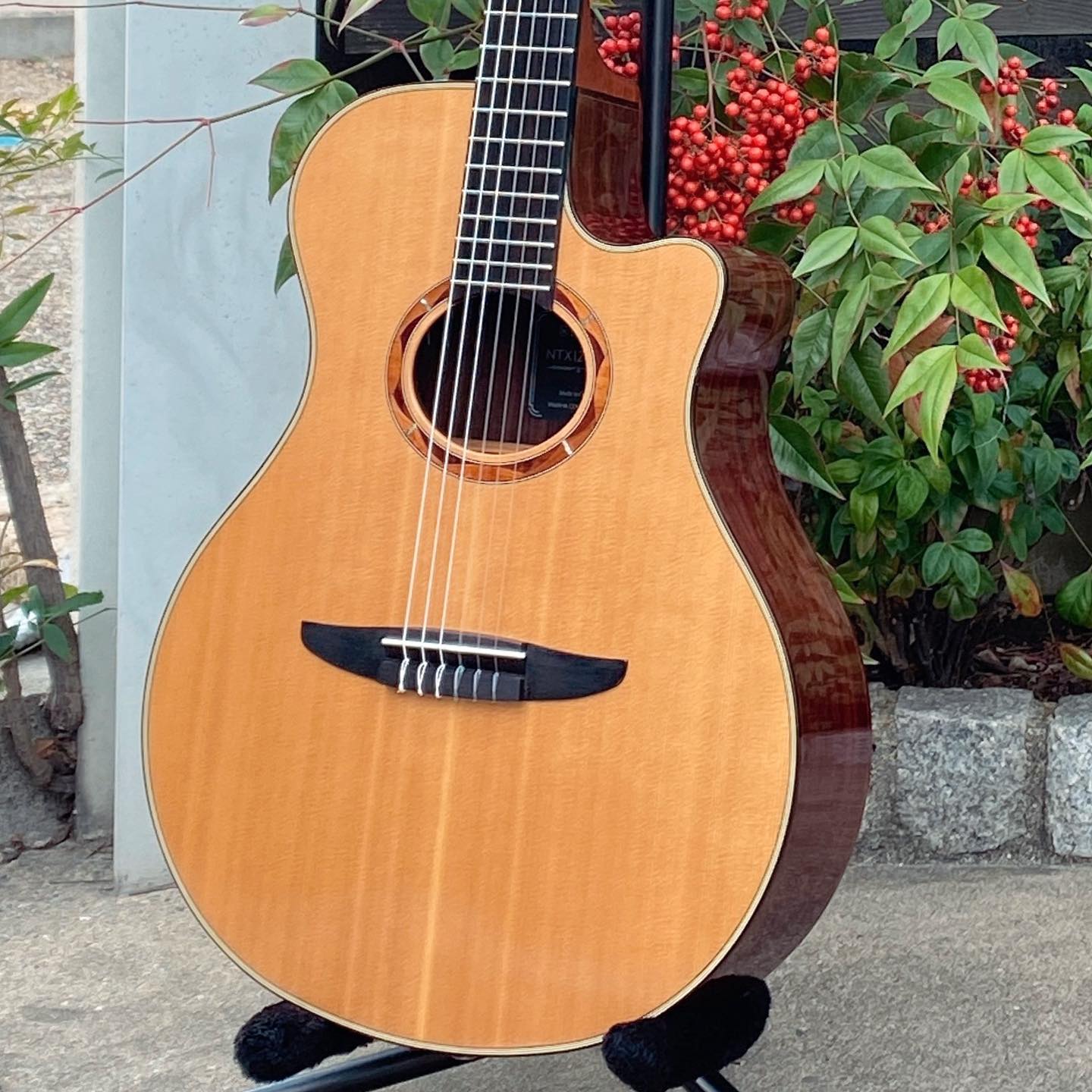 YAMAHA '11 NTX1200R – 京町家のギターショップ ライトニン