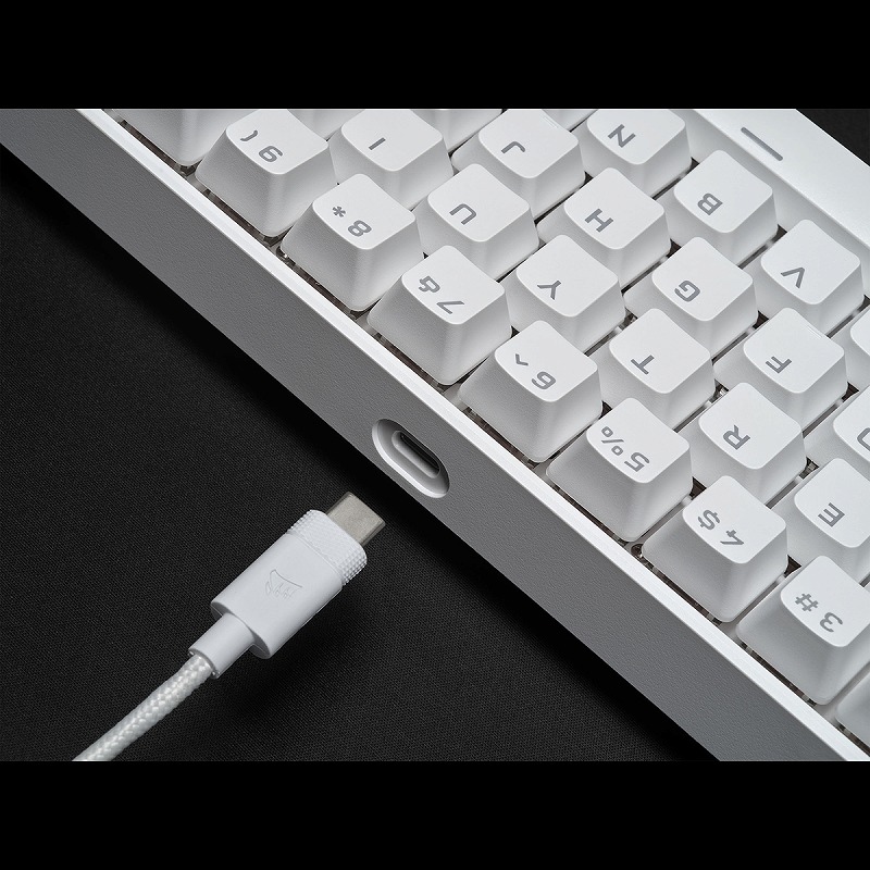 K65 RGB MINI WHITE | 株式会社リンクスインターナショナル