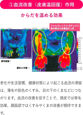 オールインワンDLAマッサージジェル 800g オールインワンDLAマッサージ