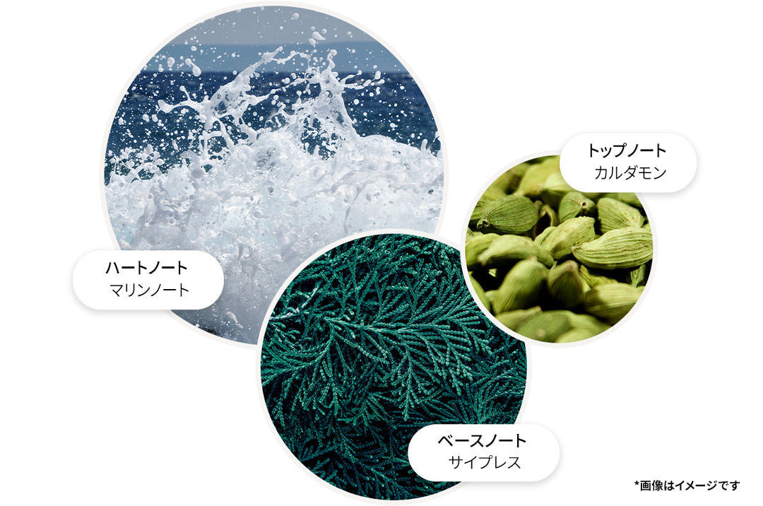 サイプレス＆シーフェンネル オードトワレ 100ml – MOLTON BROWN