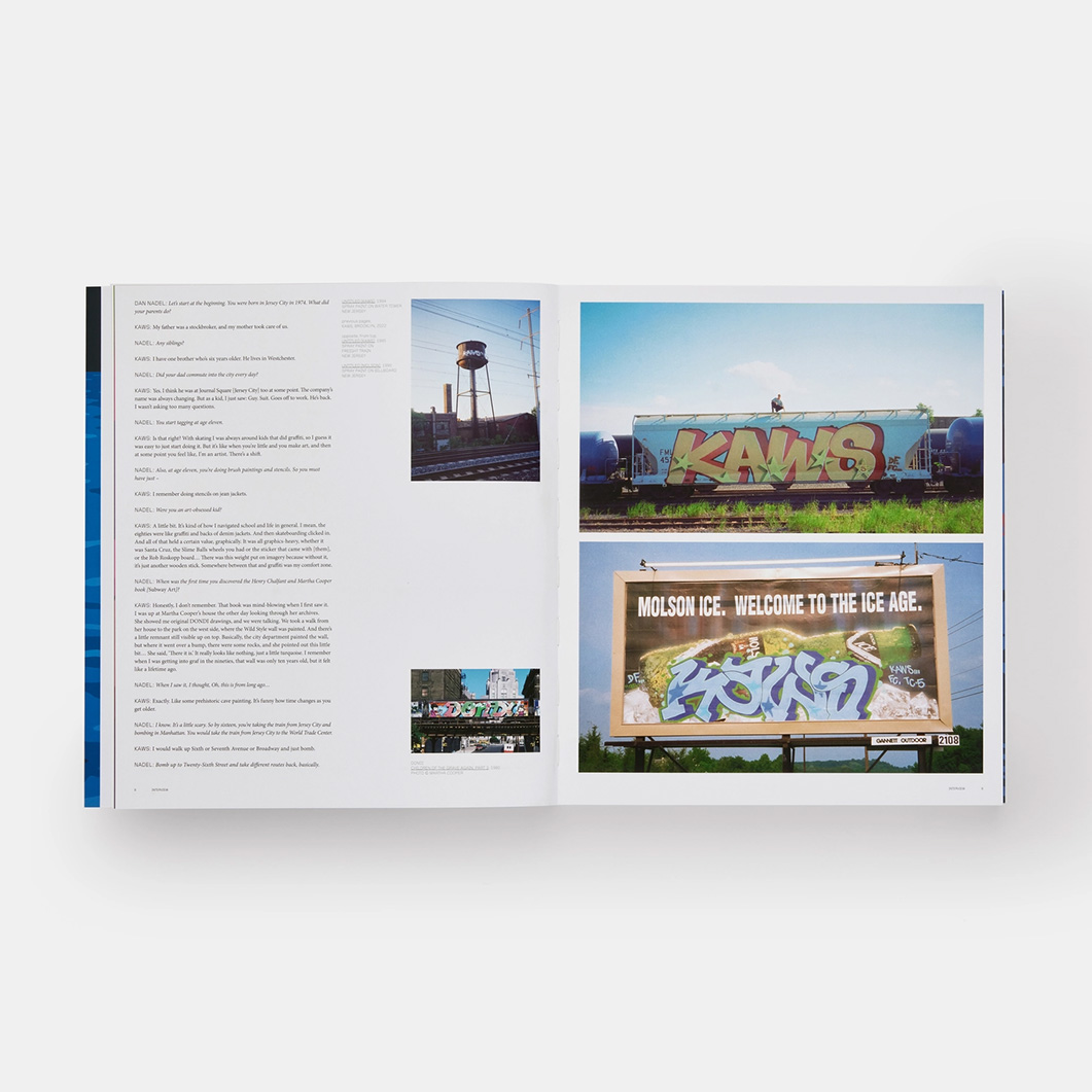 KAWS Contemporary Artist Series ソフトカバー(KAWS Contemporary