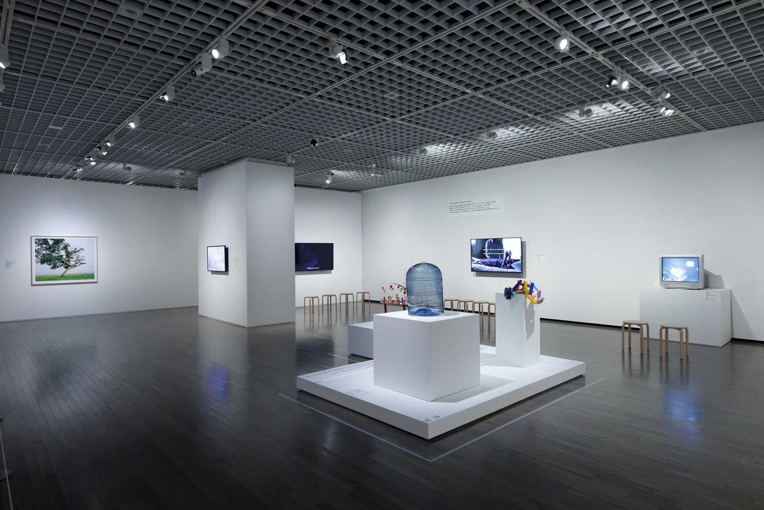 TRIO パリ・東京・大阪 モダンアート・コレクション - 東京国立近代美術館