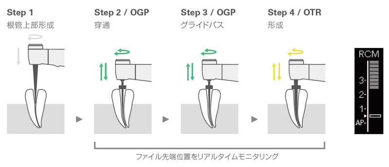 Tri Auto ZX2 | MORITA