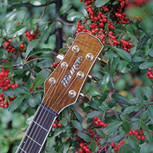 M-501 | 生産完了品 | MORRIS GUITARS モーリスギター