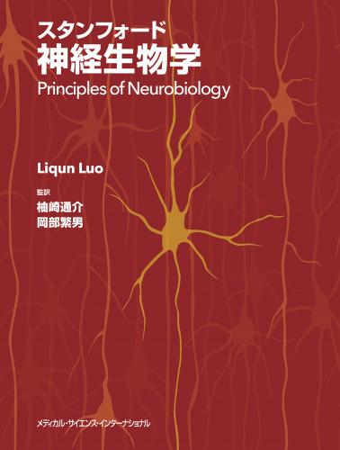 MEDSi)株式会社 メディカル・サイエンス・インターナショナル