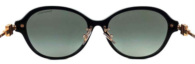 ティファニーサングラス4188D-8001-3C-S55/正規販売店全国対応JR大府