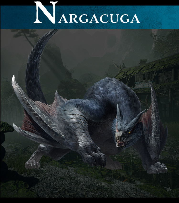 ナルガクルガ モデル｜眼鏡市場（メガネ・めがね）