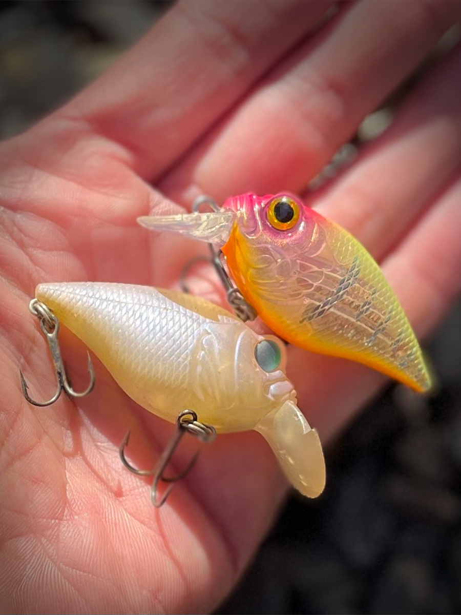 8年ぶりのモデルチェンジ！～3代目グリフォン！～ | Megabass-メガバス