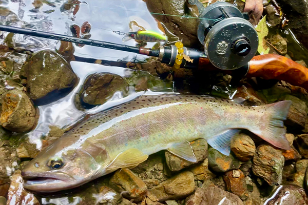 四国・九州パーマーク釣行 2024年8月 | Megabass-メガバス