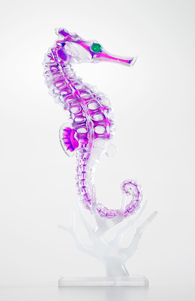 Dual Layer Puzzle 透明標本パズル タツノオトシゴ｜商品情報