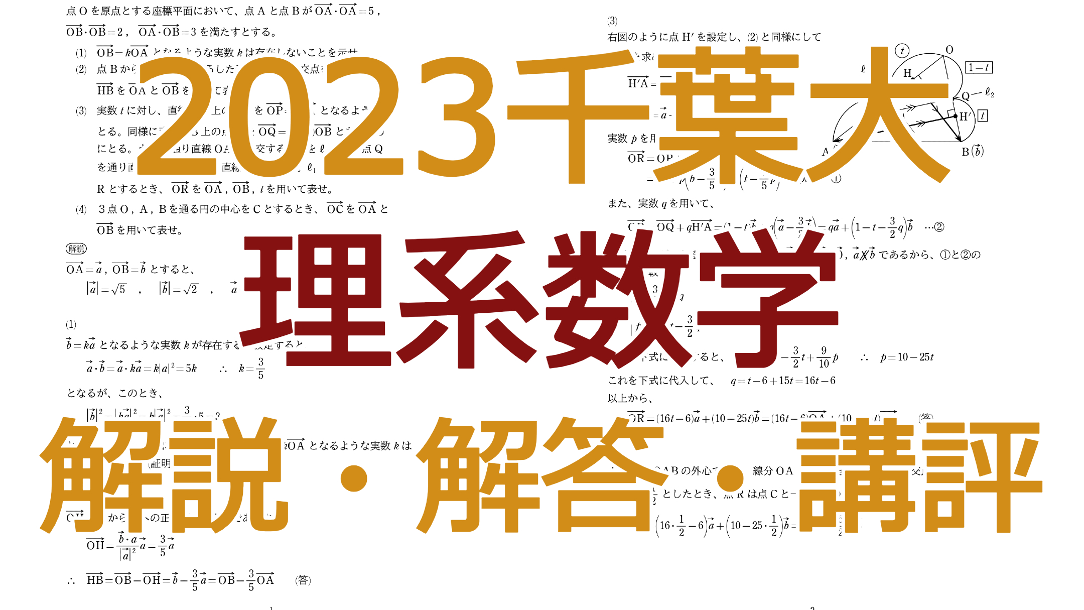 2024千葉大【理系数学】解説・解答・講評