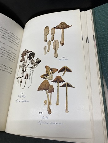 明倫館書店 / 原色日本菌類図鑑 全8巻