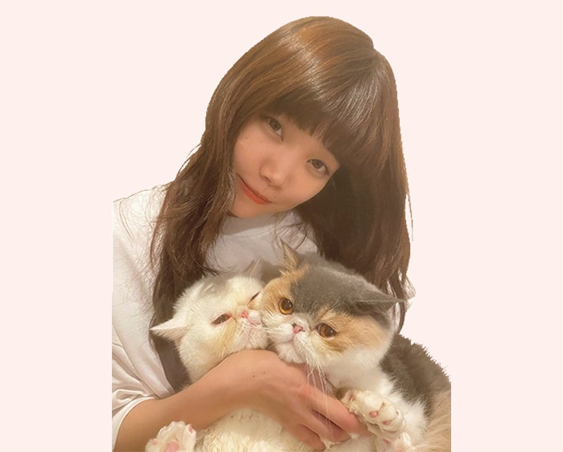 エキゾチックショートヘア］アーティスト セントチヒロ・チッチの愛猫