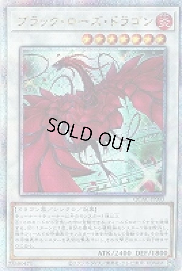 ☆アジア☆ブラック・ローズ・ドラゴン(イラスト違い)/25th