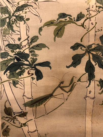 河田小龍 草虫図｜古美術・掛け軸の販売・買取・鑑定-松本松栄堂