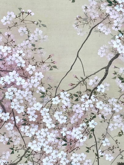 菊池芳文 枝垂桜群雀｜古美術・掛け軸の販売・買取・鑑定-松本松栄堂