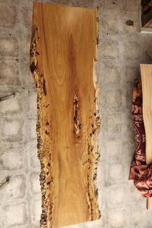 天然木 東京 新宿 東五軒町展示 楠（くすのき）材 一枚板 セール｜一枚