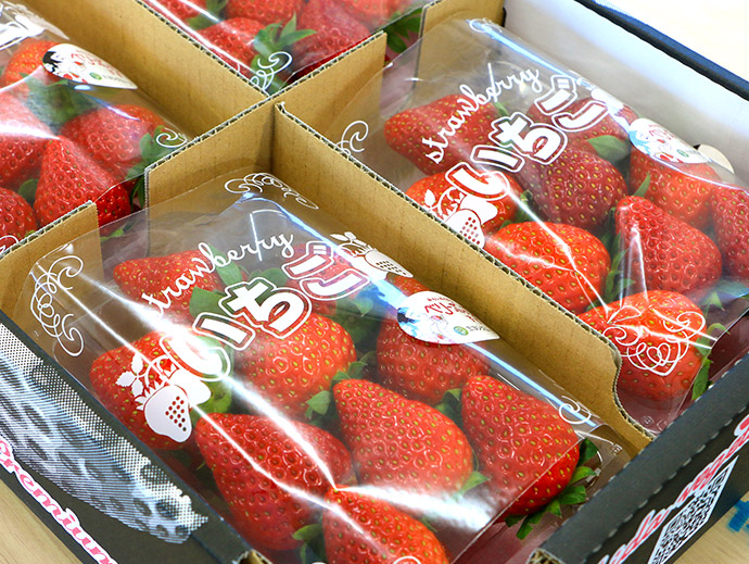 いちご直売所 | 株式会社町田野菜園 - 群馬県太田市の野菜農園