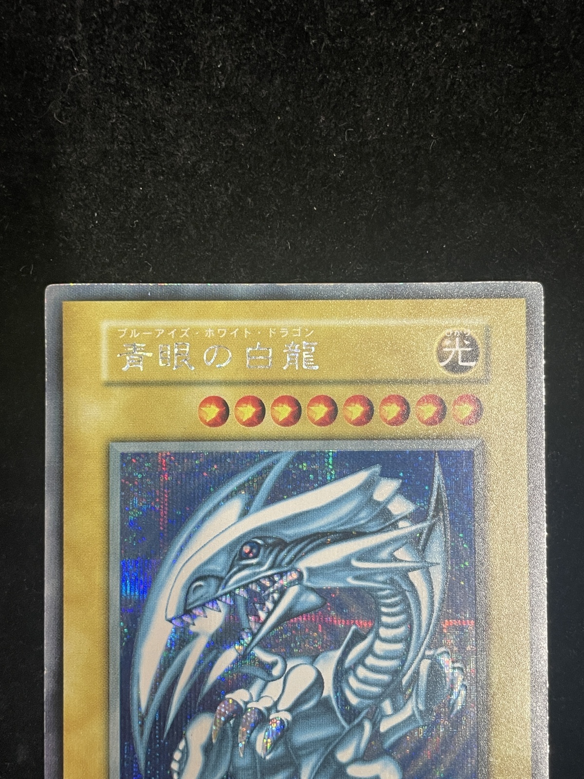 状態C】青眼の白龍 (初期) [シークレット] {-} - magi通販【遊戯王