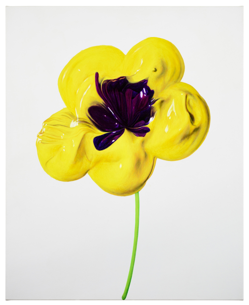 武田鉄平 - まるで、花のような | MAHO KUBOTA GALLERY