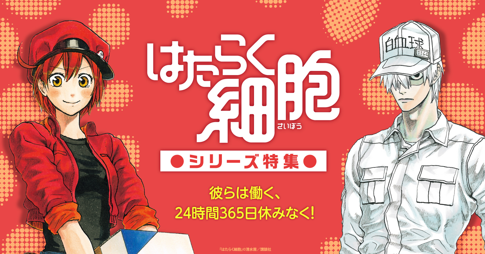 はたらく細胞BLACK 英語版 (1-6巻) [Cells at Work! Code Black