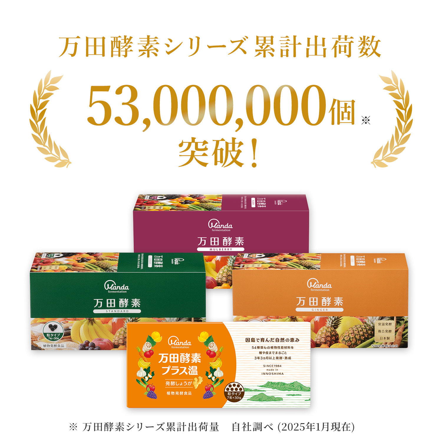 公式】【約1ヵ月分1000円お試しセット】万田酵素MULBERRY(マルベリー