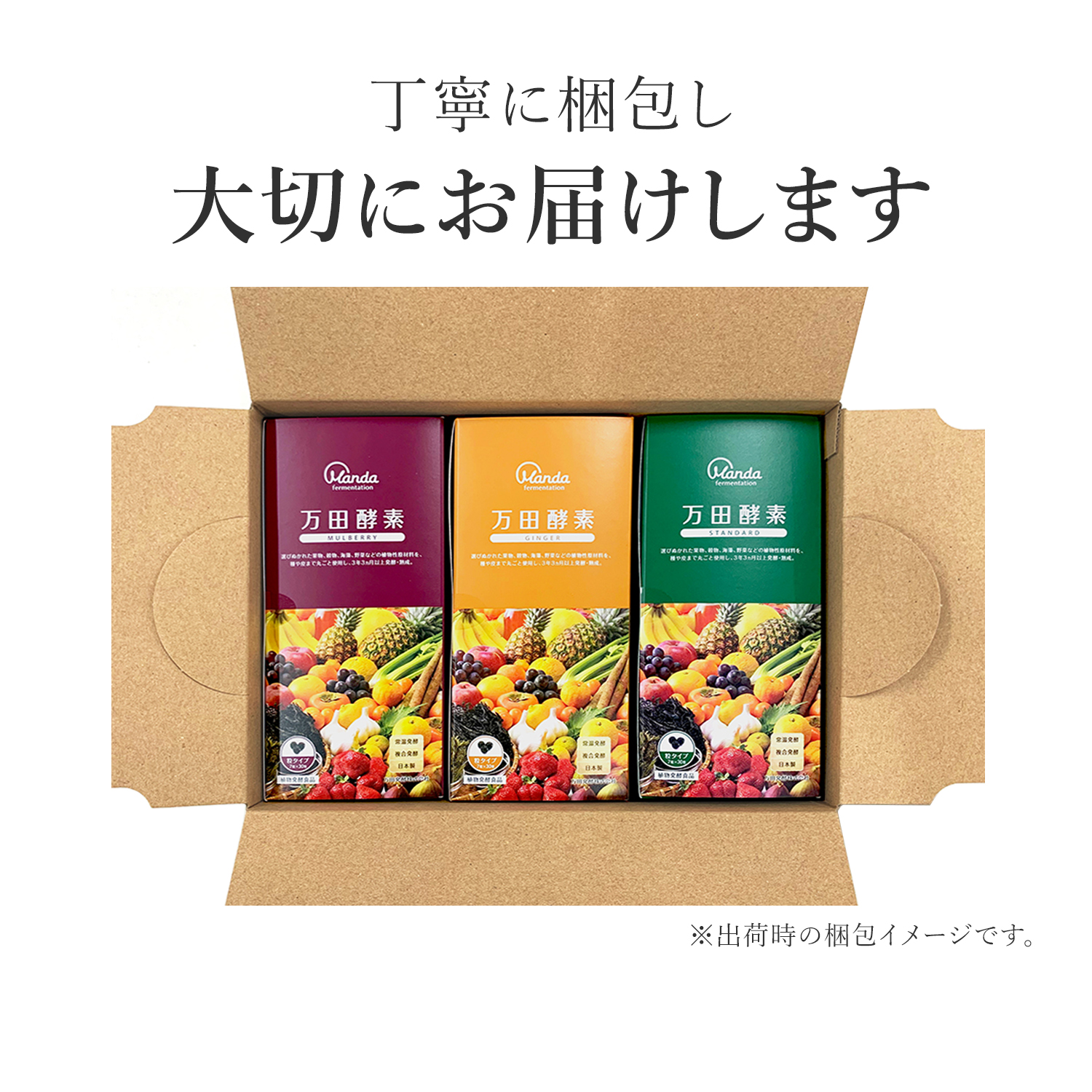 公式】万田酵素 MULBERRY(マルベリー) 粒(分包)タイプ｜万田発酵公式