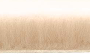 株式会社丸八ホールディングス ｜ ミニファートン カルタモ